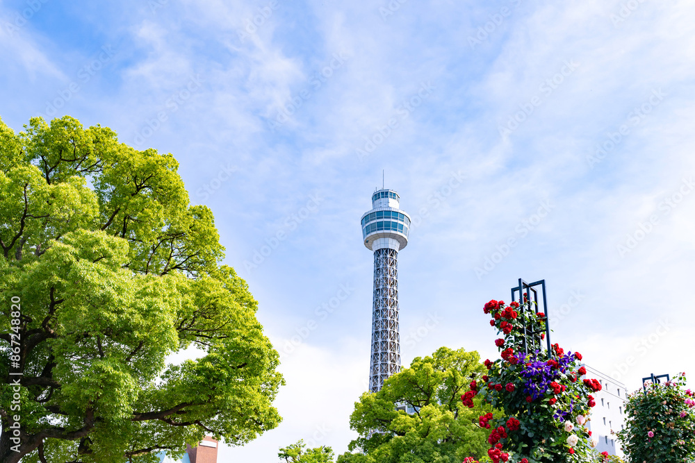 Obraz premium 神奈川県横浜市 5月の山下公園の風景(ローズガーデン)