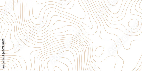 Abstract topographic contour map and geographic mountain relief background design .topography contour map white wave paper and curve brown color lines vector background .