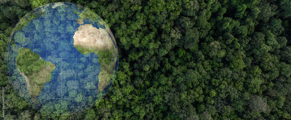 Aerial view green forest tree texture and background with globe earth planet, Natural green forest tree background with globe, Save earth global warming ecosystem and natural environment. Aerial view green forest tree texture and background with globe earth planet, Natural green forest tree background with globe, Save earth global warming ecosystem and natural environment.
