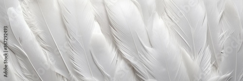Wallpaper Mural Feathers Material Structure Background - Generative AI Torontodigital.ca