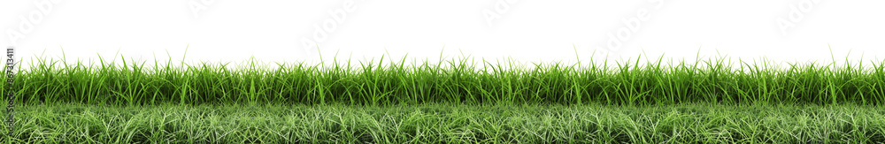 Green grass Concept with PNG Transparent Background. Green grass Concept with PNG Transparent Background.