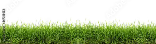 Seamless Grass Repeating Border with Green grass on transparent background.