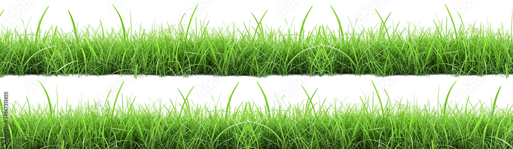 Fototapeta premium Green grass on transparent background. Spring or summer plant layout concept