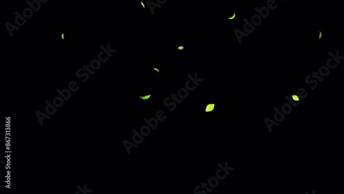 水彩イラスト風の舞い落ちる緑の葉(透過背景 4K)