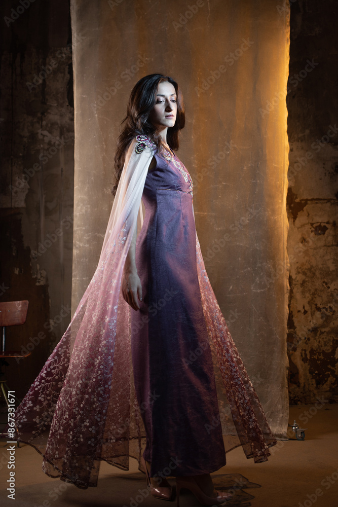 A beautiful brunette in a beautiful fantasy dress with sequins, A beautiful brunette in a beautiful fantasy dress with sequins,