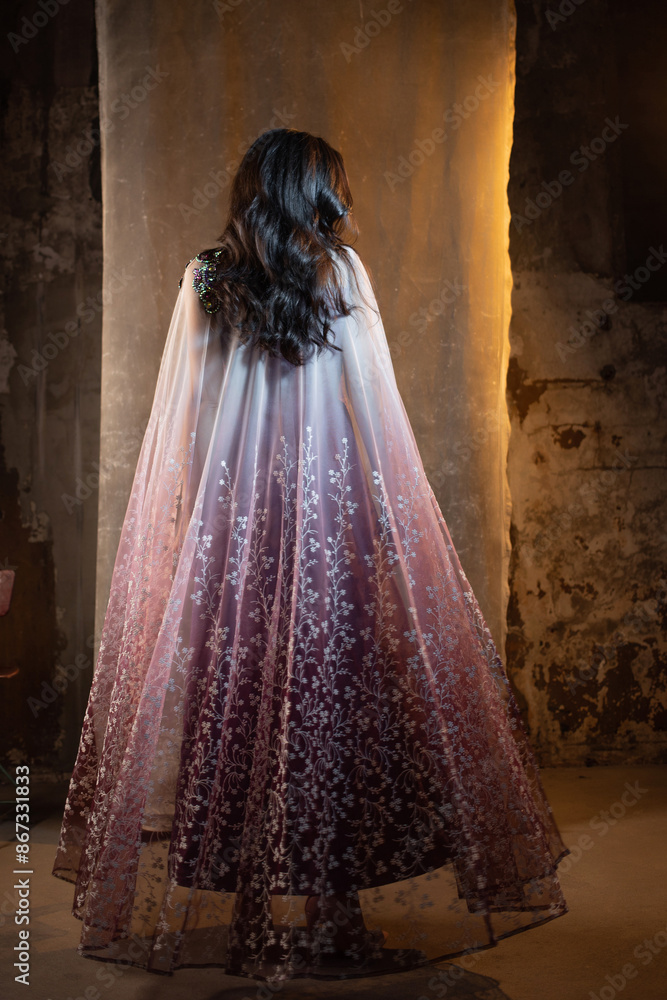 A beautiful brunette in a beautiful fantasy dress with sequins, A beautiful brunette in a beautiful fantasy dress with sequins,