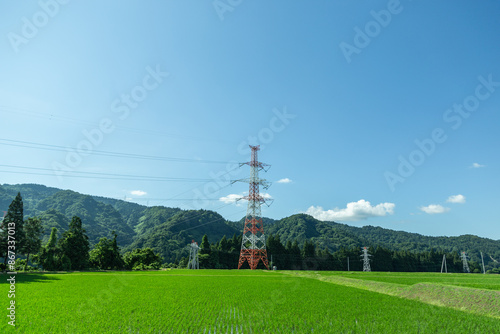 田んぼ風景の中に一本たたずむ送電線と青空の日本の農村風景