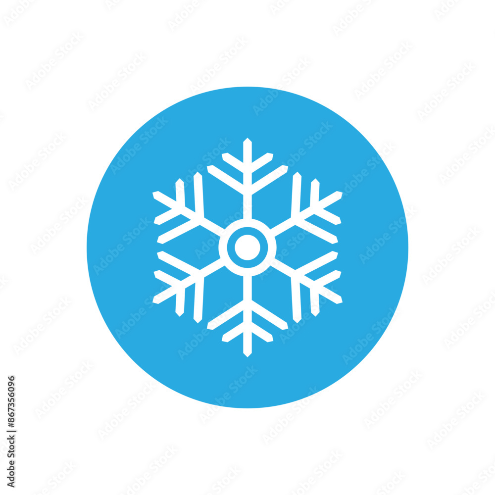 Snowflake icon vector. Winter illustration sign. Cold illustration symbol. 