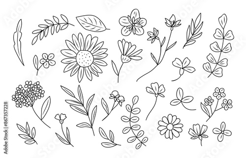 Set of tiny wild flowers and plants line art vector botanical illustrations. Trendy greenery hand drawn black ink sketches collection. Modern design for logo, tattoo, wall art, branding and packaging.