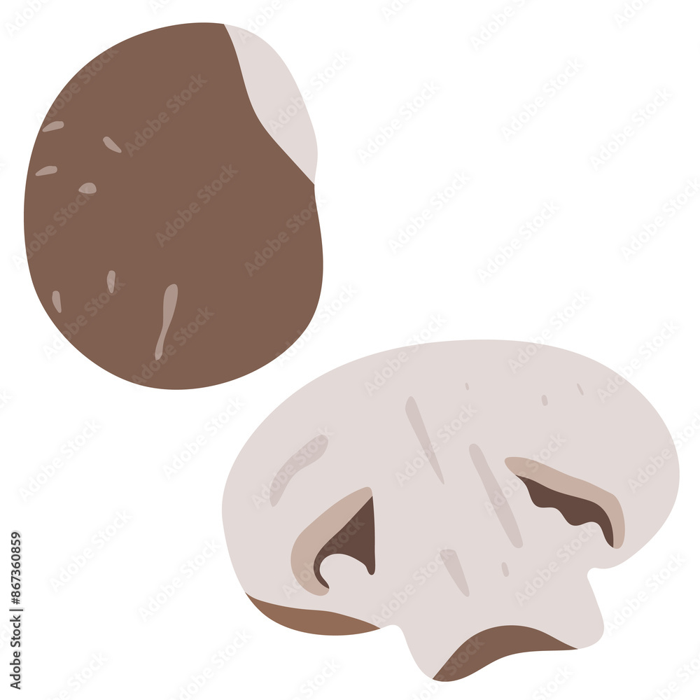 brown champignon mushroom isolated on background brown champignon mushroom isolated on background
