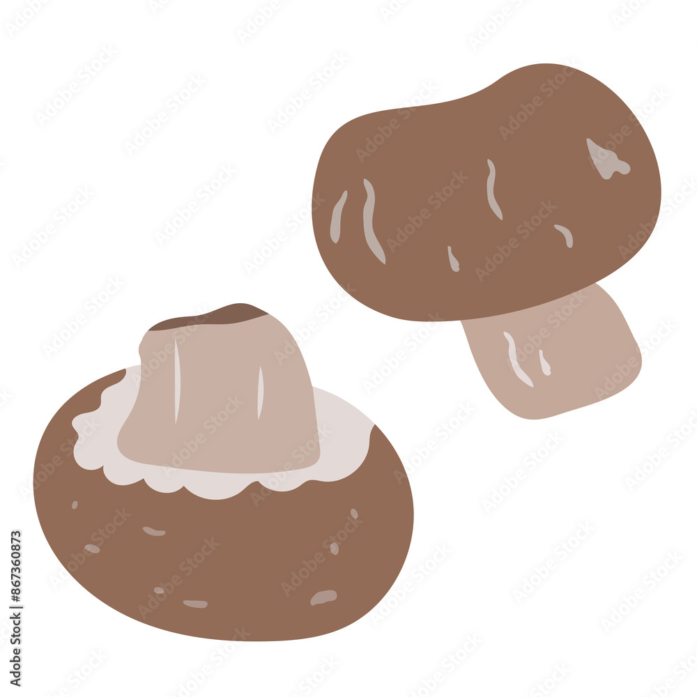 brown champignon mushroom isolated on background brown champignon mushroom isolated on background