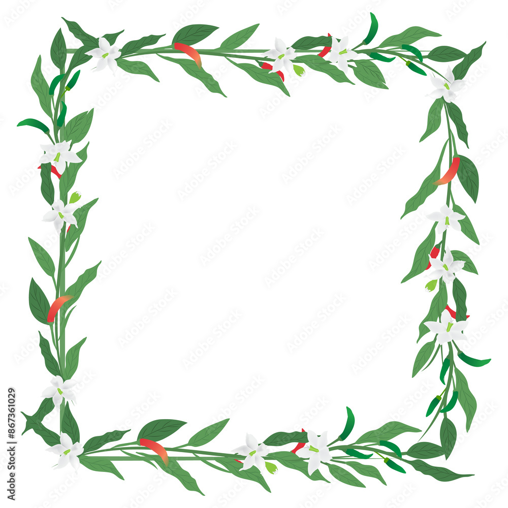 blooming chilli flower on square frame background blooming chilli flower on square frame background