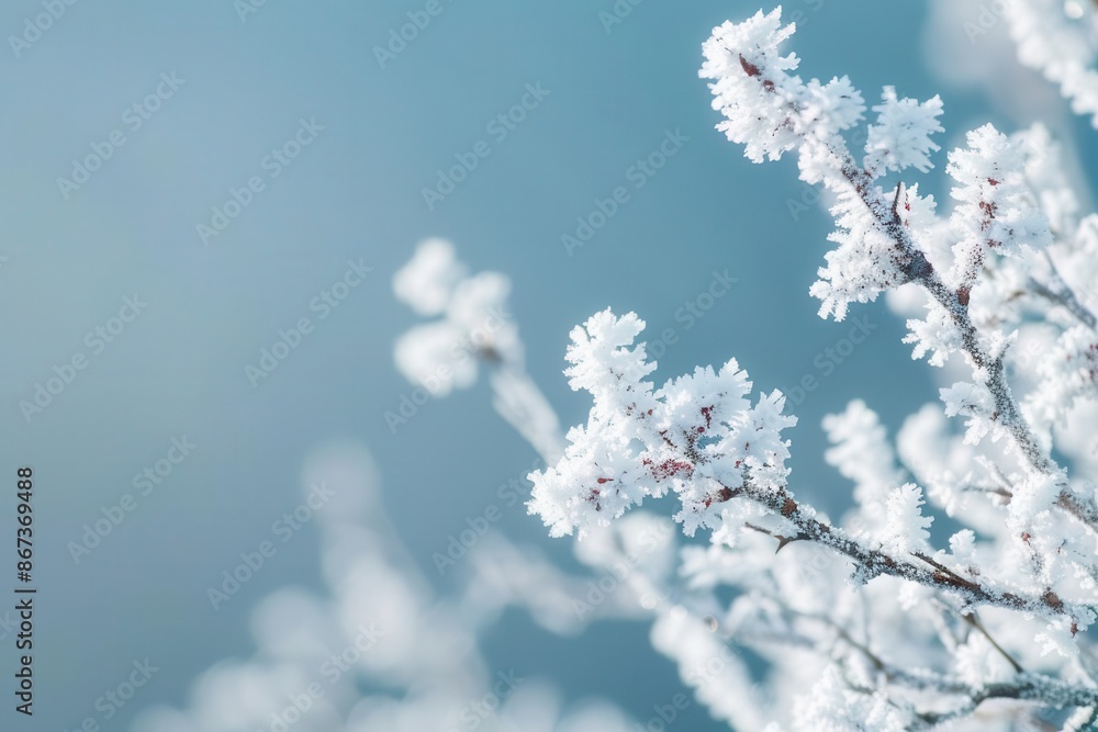Winter Wonderland. Frosty January background images Winter Wonderland. Frosty January background images
