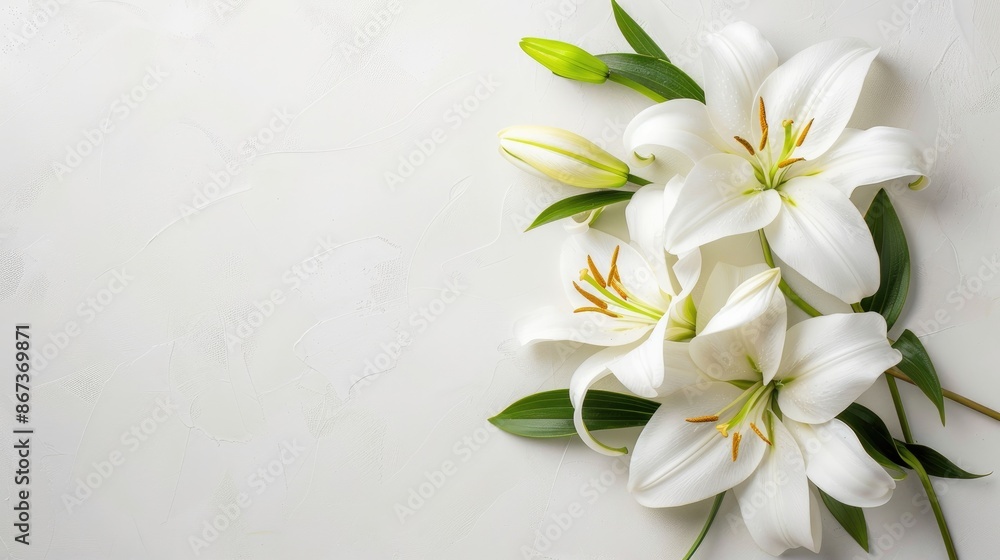 Fototapeta premium Elegant Easter Lily Bouquet on White Background