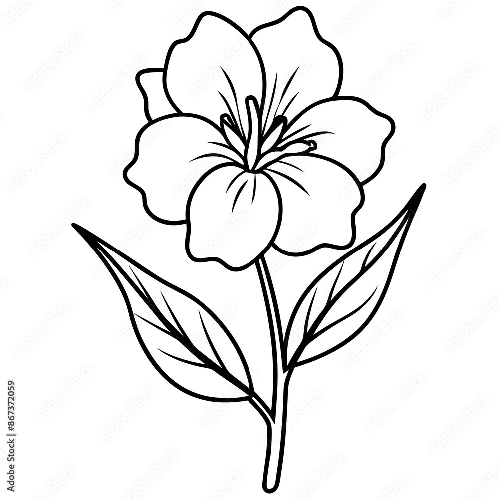 Fototapeta premium Line art of Evening Primrose flower 