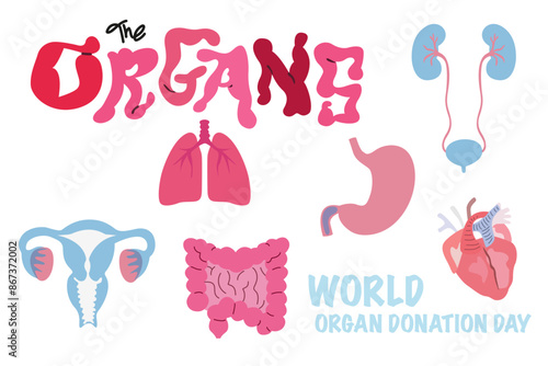 World Organ Donation Day social media post template. Organ donation day illustration. Saving Lives and Health Care. Flat vector organs and silhouette of a doctor surgeon in a medical cap and mask