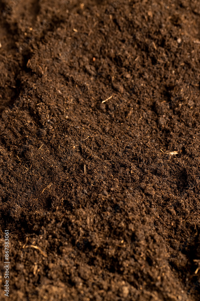 details of agricultural soil to improve the quality of crop plants details of agricultural soil to improve the quality of crop plants