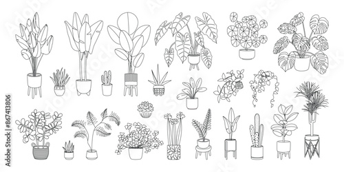 Potted plants outline icon set. Line art indoor houseplants in flowerpots. Doodle sketch house plants in pots for home decor. Botanical floral element. Vector illustration isolated on white background