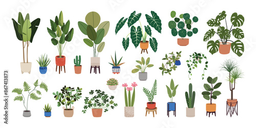 Potted plants set. Indoor houseplants in flowerpots. Trendy home decor with indoor plants in Scandinavian style pots. Colorful house flowers. Flat vector illustration isolated on a white background.