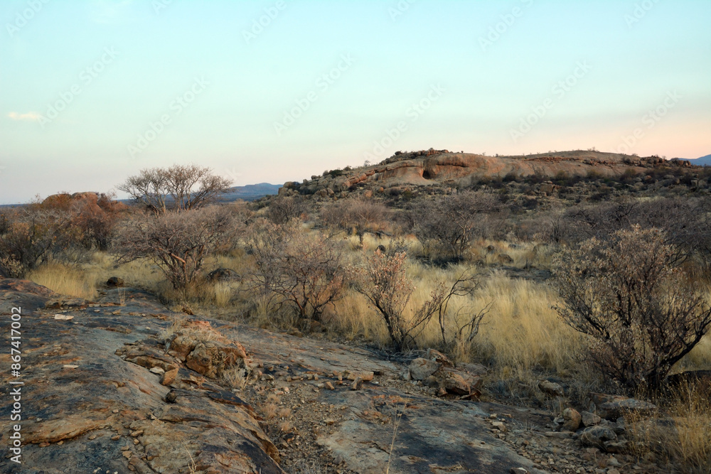 Desert landscape in a wild hilly area. Small dry trees and hills in the distance. Summer heat and wild nature Desert landscape in a wild hilly area. Small dry trees and hills in the distance. Summer heat and wild nature
