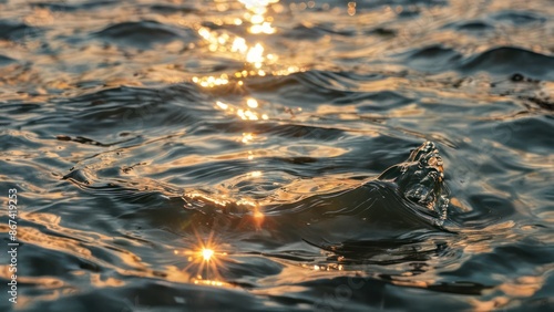 the sun shines brightly through the water's surface © Tisha