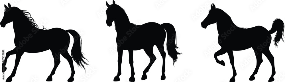 Fototapeta premium silhouettes horse isolated on transparent background, vector design 