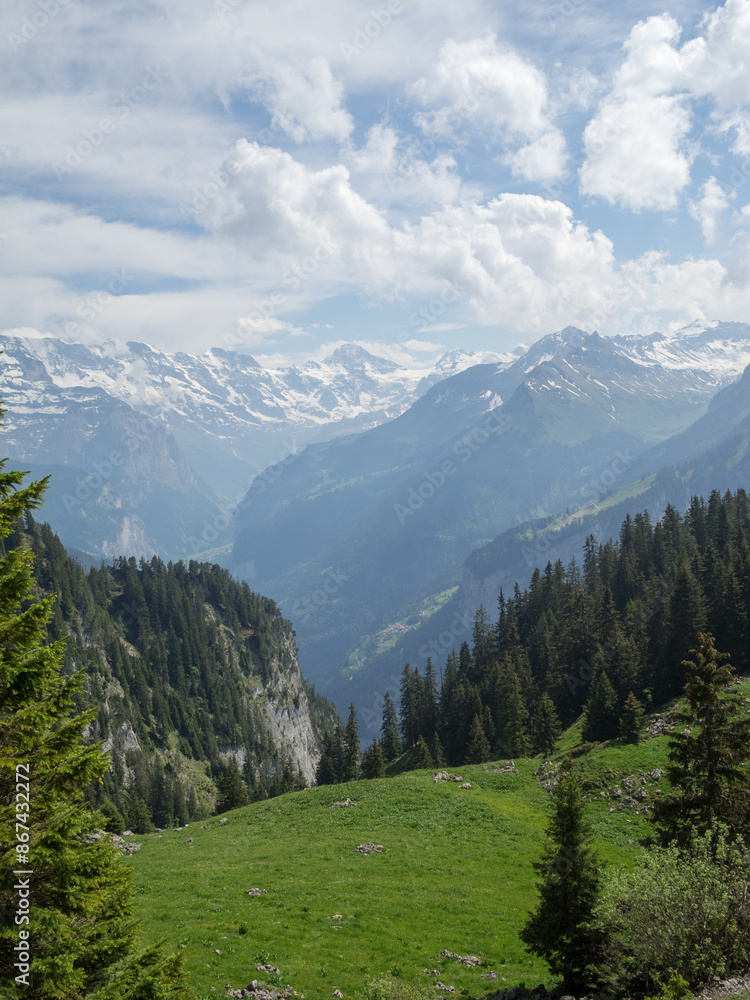 Fototapeta premium Bernese Alps landscape seen from Schynige Platte