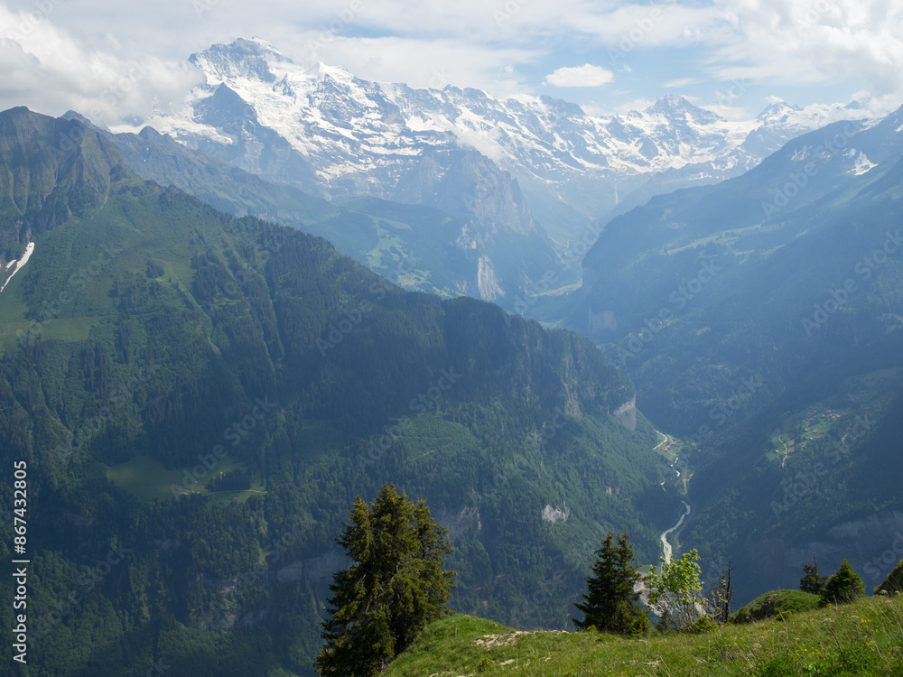 Fototapeta premium Bernese Alps landscape seen from Schynige Platte