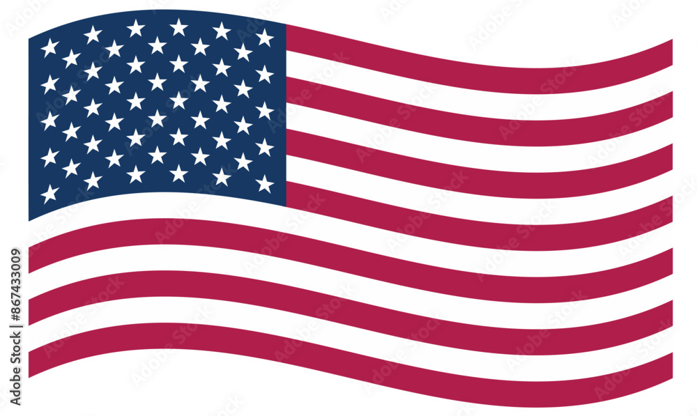the flag usa the flag usa