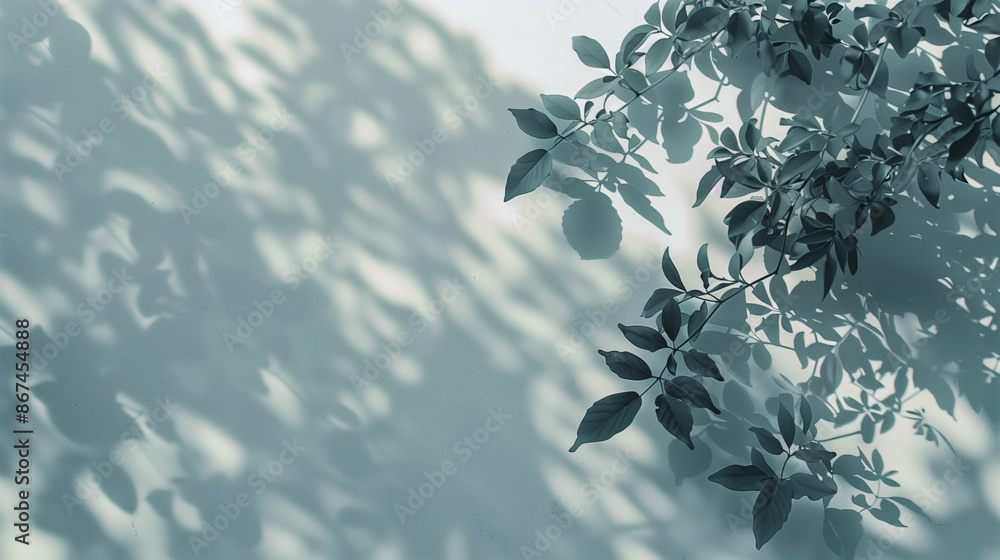 Calm and peaceful atmosphere Calm and peaceful atmosphere
