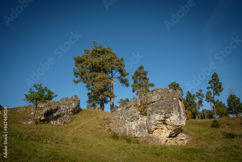 Rocks on green meadow with conifer trees with blue sky photo