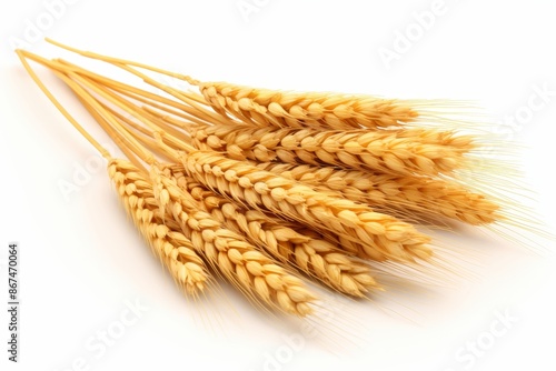 Wheat sheaves isolated on white background for enhanced visibility in search results