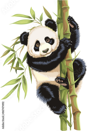 Illustration of a panda clinging to bamboo stalks with leaves, showcasing a cute and endearing scene with intricate details and a natural setting.