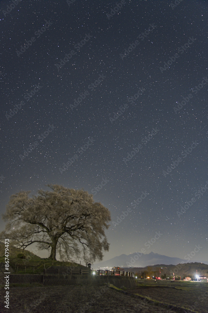 わに塚の桜と星空 わに塚の桜と星空