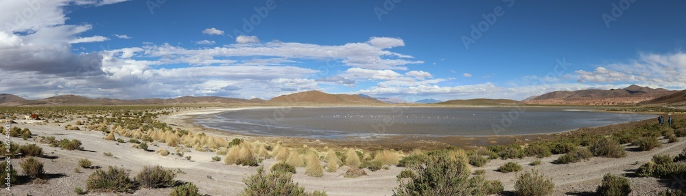 Panoramic photo Laguna Vinto in the Andean highlands of Bolivia. Landscape of the Bolivian highlands. Panoramic photo Laguna Vinto in the Andean highlands of Bolivia. Landscape of the Bolivian highlands.