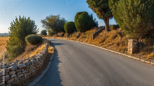 the road to the mountain