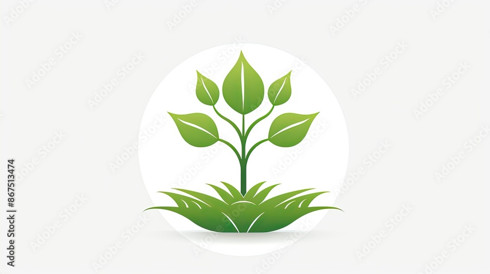 green plant isolated on white green plant isolated on white