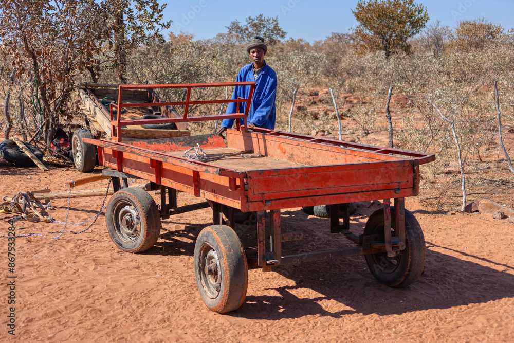 Obraz premium Village african Motswana man in the yard in the back of his donkey cart