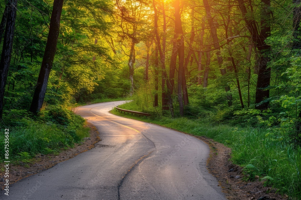 Naklejka premium Sunlit Forest Path: Curved Road Through Lush Greenery