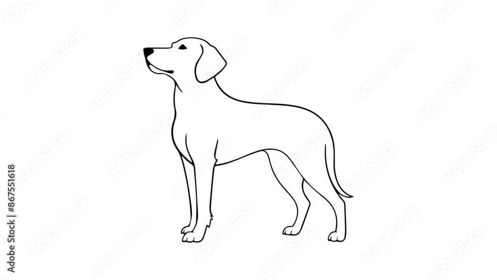 Fototapeta premium simple illustration of dog standing and watching 