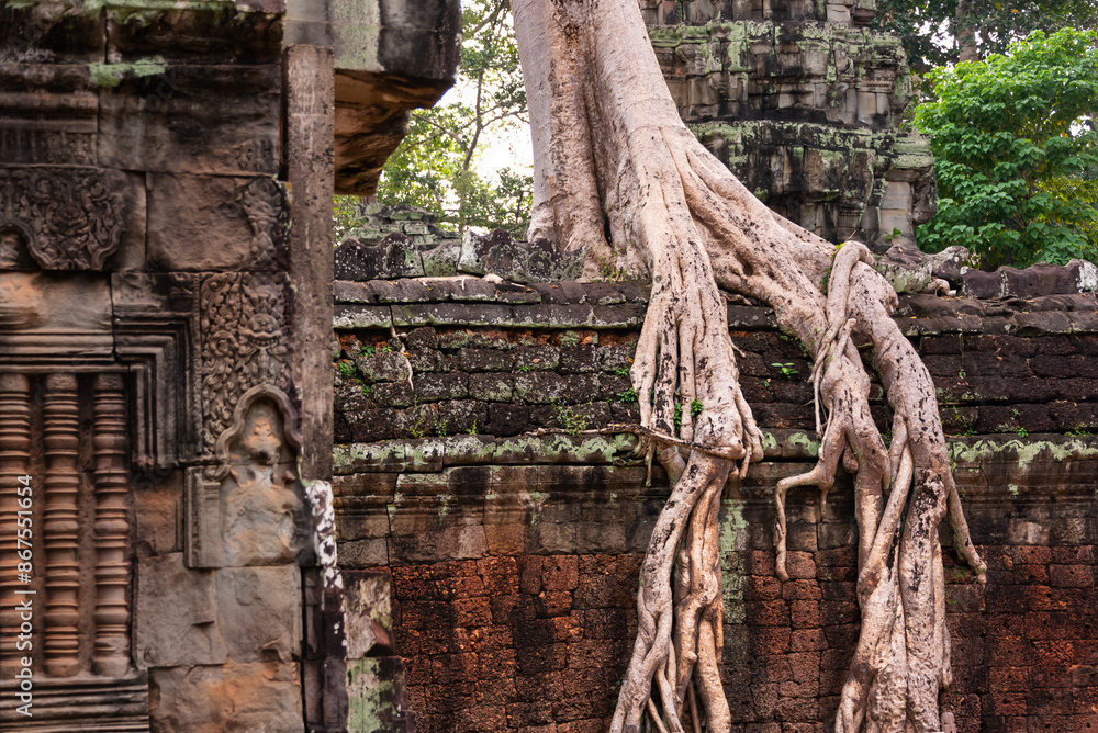 Angkor Thom, ancient temple ruins in Cambodia jungle with tree roots Angkor Thom, ancient temple ruins in Cambodia jungle with tree roots