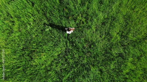 girl in a white dress runs through a green grassy field - aerial drone video