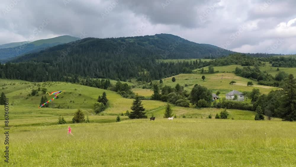 little girl with colorful striped kite in Carpathian mountains, horizontal footage