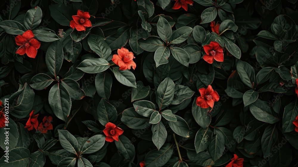Red flowers and green leaves being present Red flowers and green leaves being present