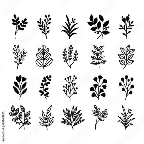 Set of leaves illustration vector