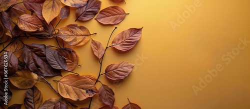Autumn Leaves Scattered on a Yellow Background