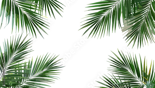 Tropical plants decoration elements, Palm branches in the corners, tropical palm leaves decoration, tropical greenery for interior design, tropical plant wall decor photo