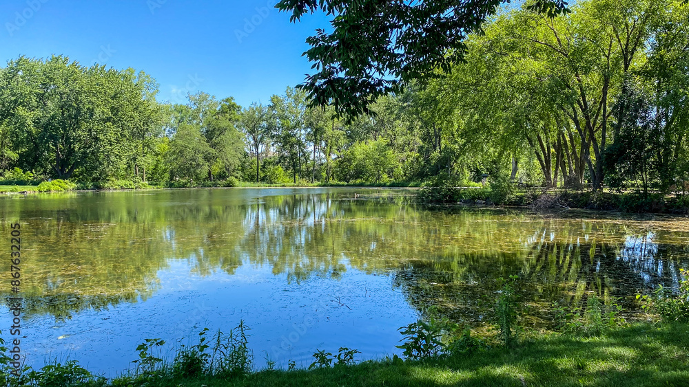 Summer Day at the Park with Pond Summer Day at the Park with Pond