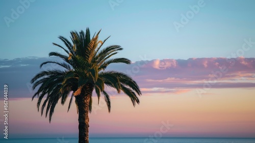 Palm tree against evening sky symbolizes summer at beach © TheWaterMeloonProjec