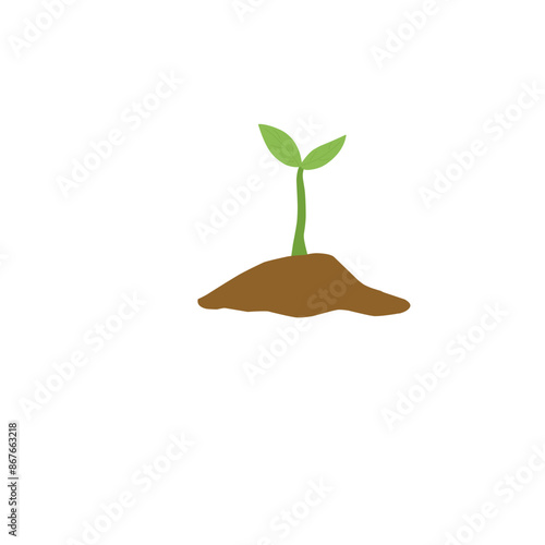 shoots. sapling tree  new trees grow